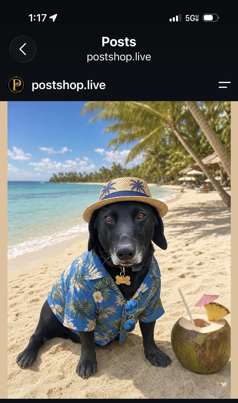 The published Instagram post: the same dog rebuilt into a beach scene, wearing a hat and a shirt.
